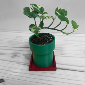 Super Mario Inspired pipe planter with drainage holes and water collection tray, available in multiple sizes, perfect for indoor and outdoor plants
